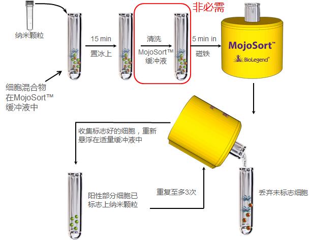 MojoSort 陽性選擇細胞分離步驟.jpg