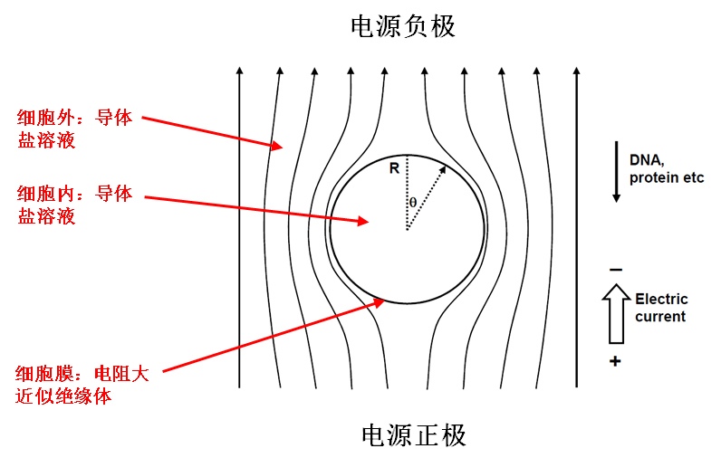 圖片6.jpg